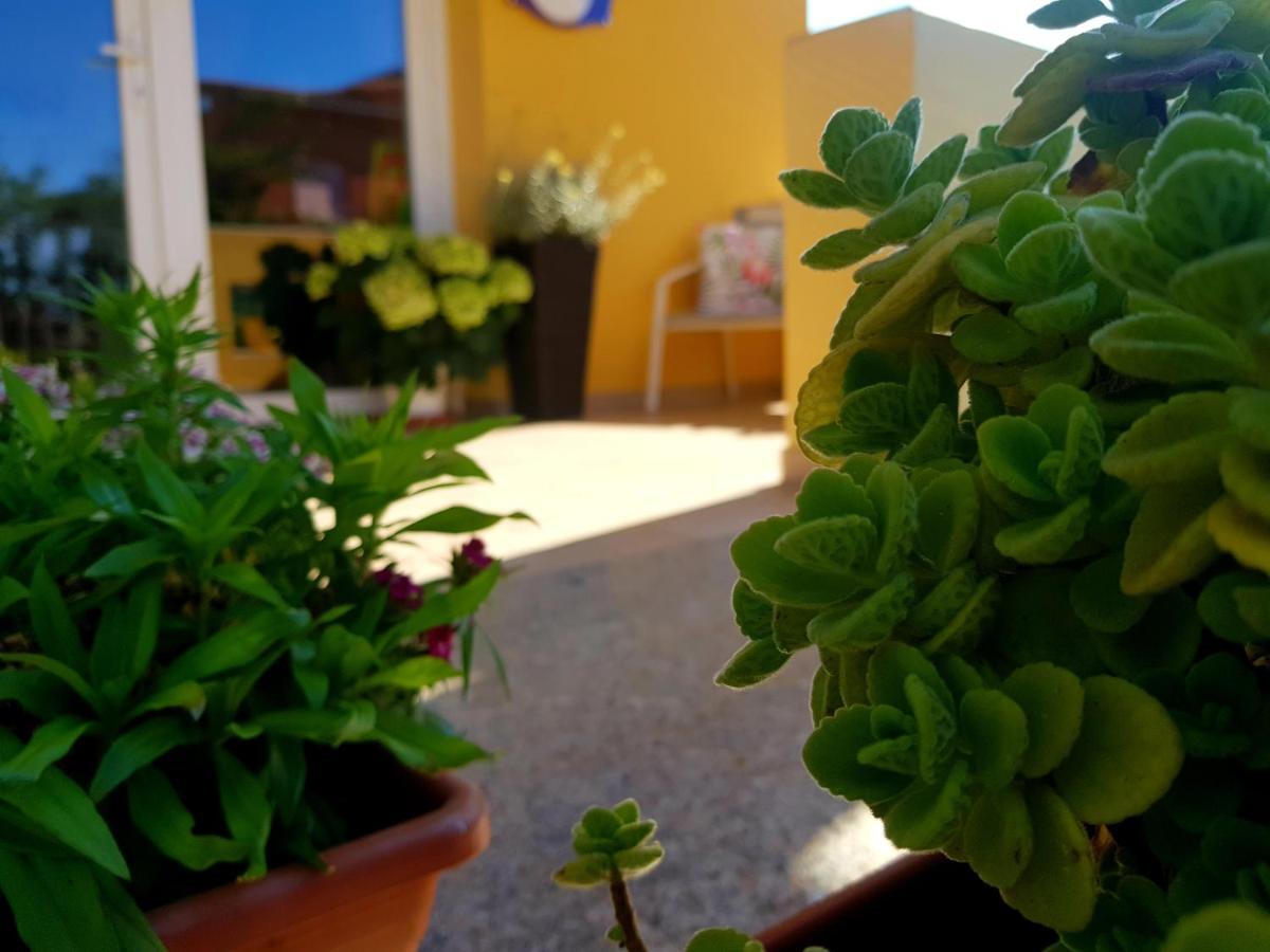 B&B L'Arcobaleno Pula Extérieur photo
